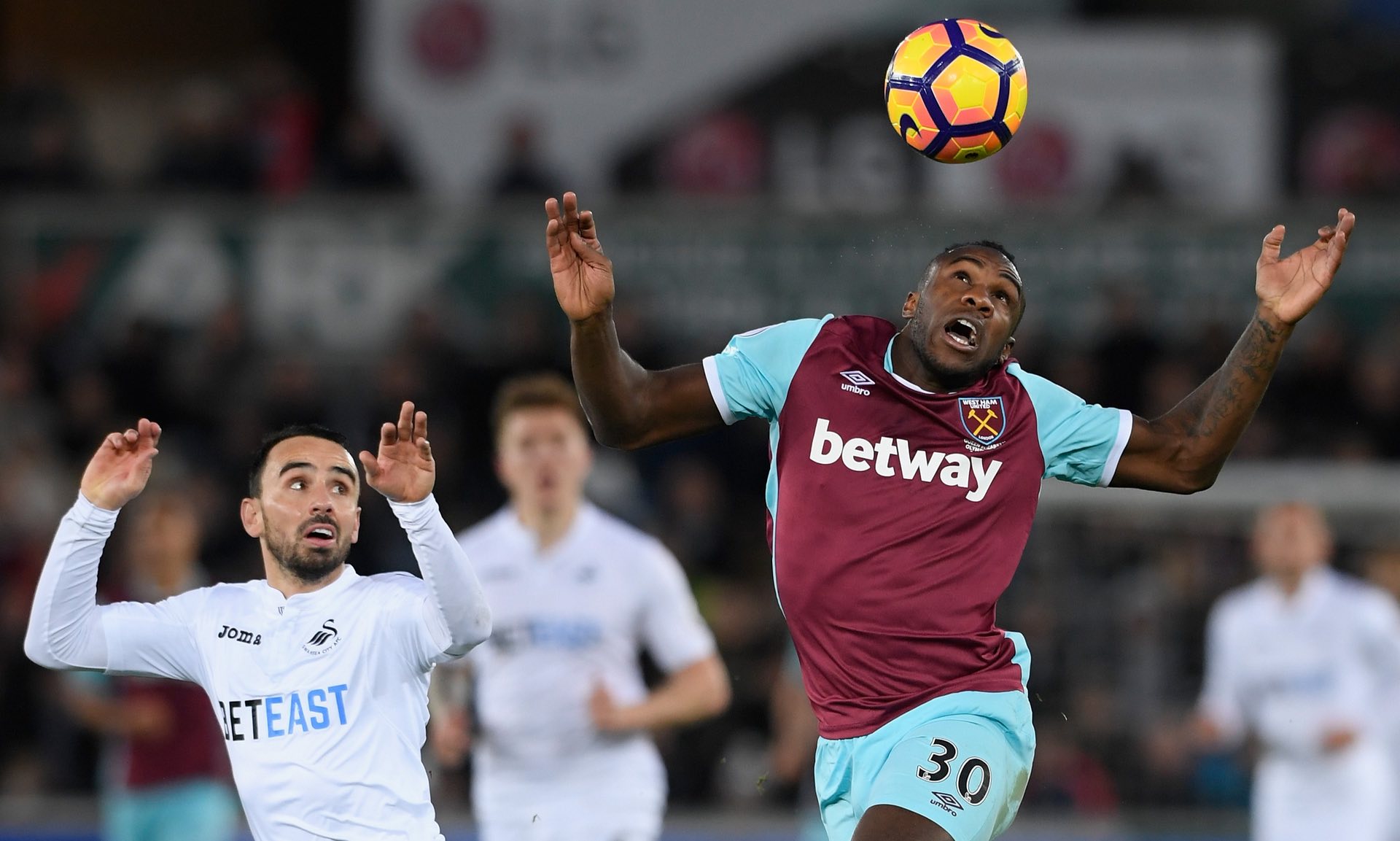 志性人物弗 志性人物弗