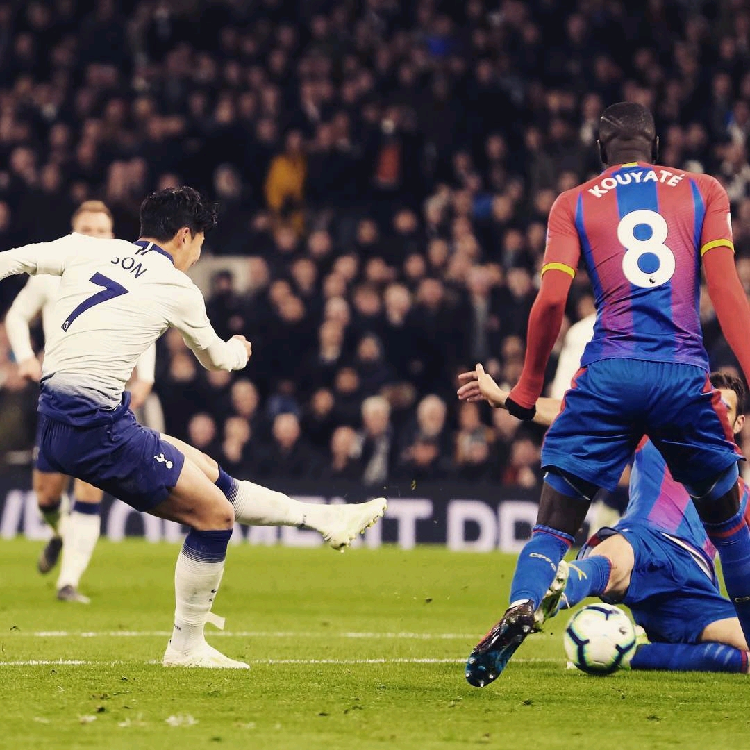 术体系中的 术体系中的